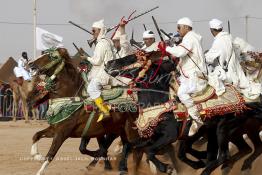 Image du Maroc Professionnelle de  Course typiquement marocaine dite ''la Fantasia'' organisé dans un site désertique sur lequel la ville de Tan Tan a toujours accueilli la majorité des tribus et des grandes familles nomades du désert lors d'un grand moussem, Samedi 24 Mars 2012. (Photo / Abdeljalil Bounhar)

 